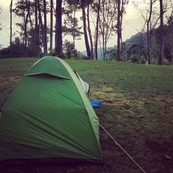 Tent on field against trees in forest