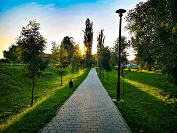 Footpath amidst plants in park against sky