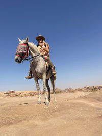 Horse standing on sand against clear sky