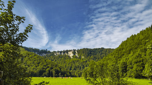 Scenic view of landscape against sky