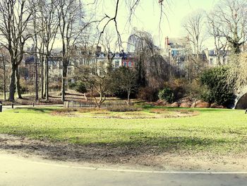 Bare trees on field against buildings in city