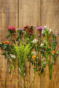 Close-up of flowering plants against wooden fence