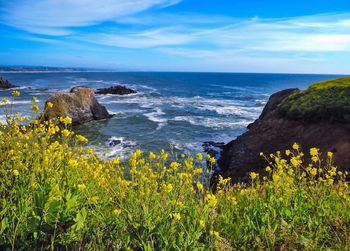 Scenic view of sea against clear sky