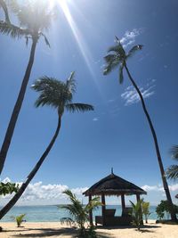 Palm trees by sea against sky on sunny day