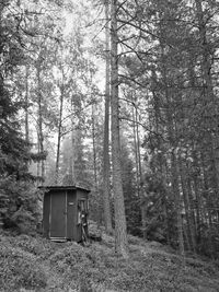 Hut in forest
