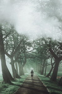 Rear view of man walking on footpath amidst trees in park during foggy weather