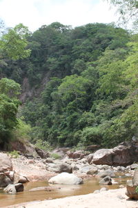 Scenic view of trees and mountains against sky