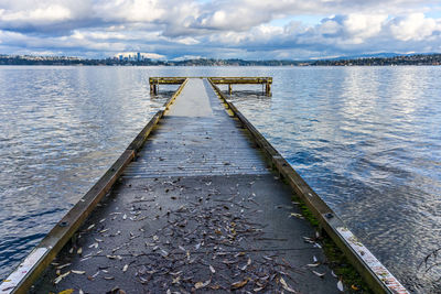 A pier points toward bellevue, washington and a lake shoreline.