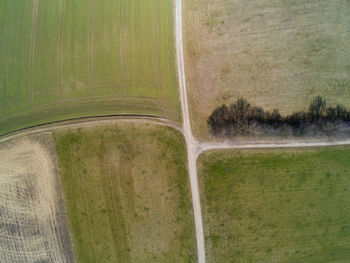 Scenic view of agricultural field