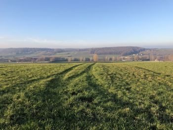 Scenic view of agricultural field against clear sky