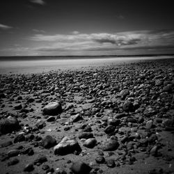 Surface level of rocks at beach