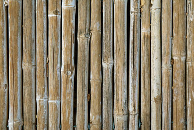 Vertical stripe pattern of weathered bamboo fence