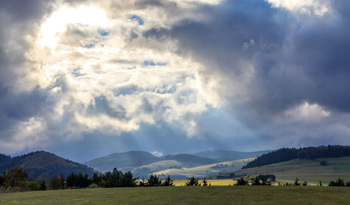 Cows grazing on field against sky