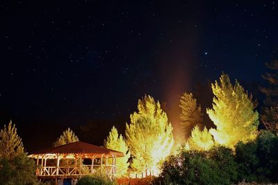 Houses and trees against sky at night