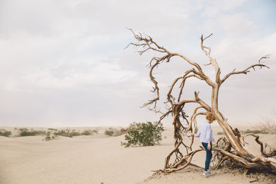 Woman at dead tree