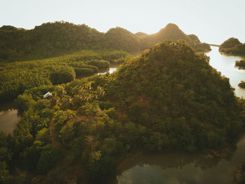 High angle view of river amidst trees against sky