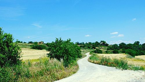 View of road along trees