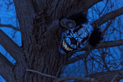 Terrifying scary clown mask with large fangs in a spooky tree with at twilight or night.