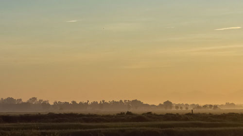 Scenic view of field against sky during sunset