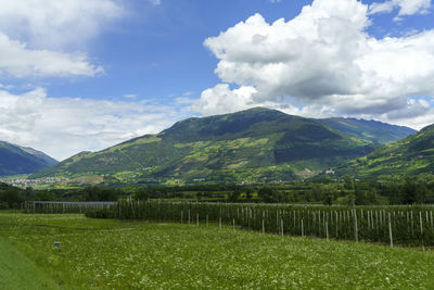 Scenic view of field and mountains against sky