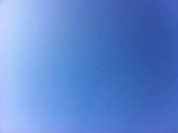 Low angle view of bird flying against clear blue sky