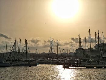 Sailboats in marina at sunset