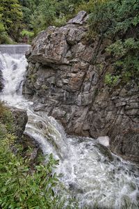 Scenic view of waterfall in forest