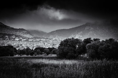 Scenic view of field against cloudy sky