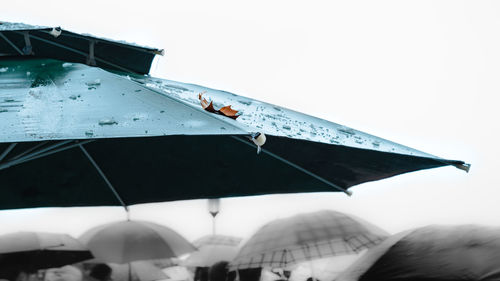 Close-up of wet umbrella against clear sky