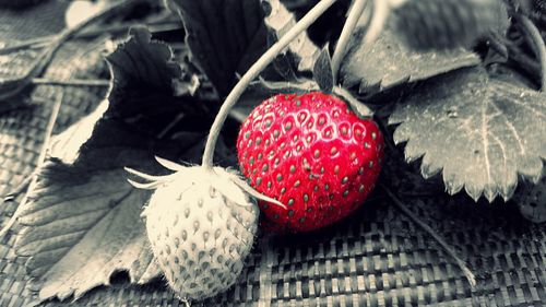 Close-up of strawberries