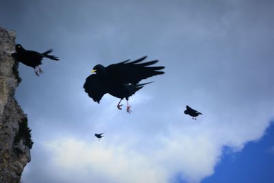 Low angle view of birds flying in sky