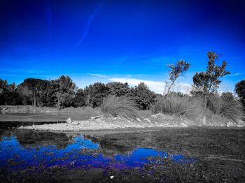 Scenic view of lake against blue sky