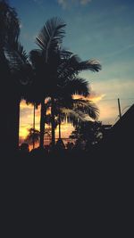 Low angle view of silhouette trees against sky at sunset