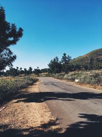 Road by trees against clear sky