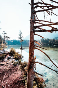 Scenic view of lake against clear sky