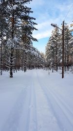 Trees on snow covered land against sky