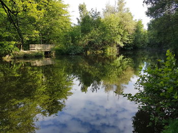 Scenic view of lake in forest against sky