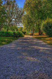 Road amidst trees against sky