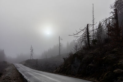 Road by trees against sky during winter