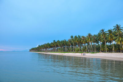 Scenic view of palm trees by sea against blue sky