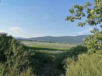 Scenic view of landscape against sky