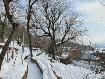 Bare trees by snow covered houses against sky