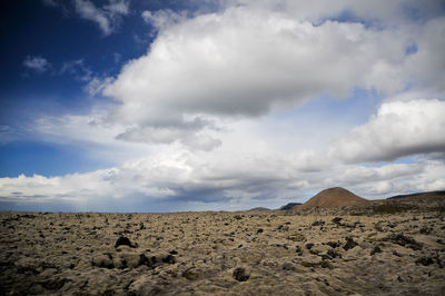 Scenic view of desert against sky