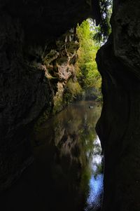 Scenic view of river