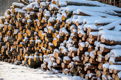 Freshly cut logs and firewood from loggers submerged under a blanket of white snow