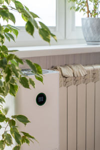Central heating radiator and air purifier on window background and houseplants in room