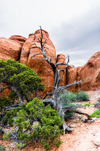 Low angle view of rock formation against sky