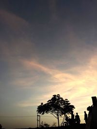 Silhouette of trees at sunset