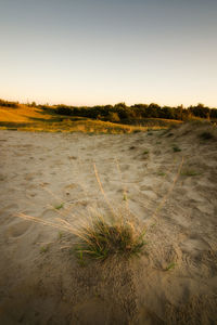 Scenic view of land against sky during sunset