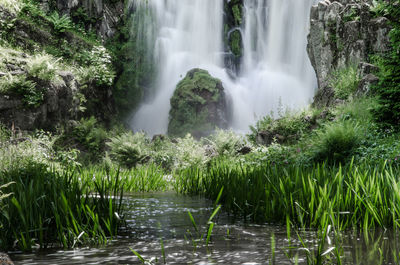 Scenic view of waterfall